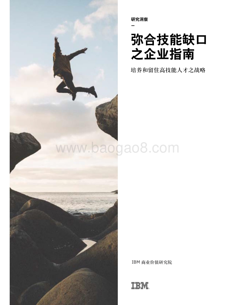 弥合技能缺口之企业指南：培养和留住高技能人才之战略.pdf_第1页