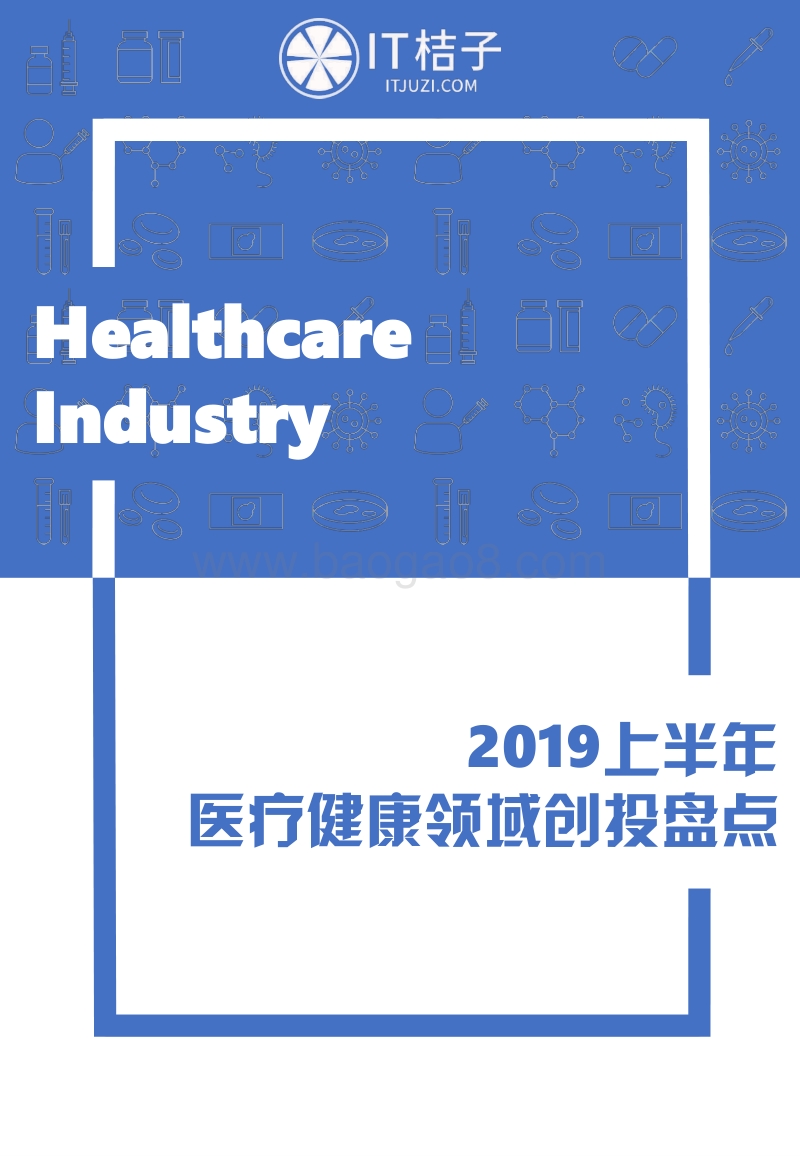 2019上半年医疗健康领域创投盘点.pdf_第1页