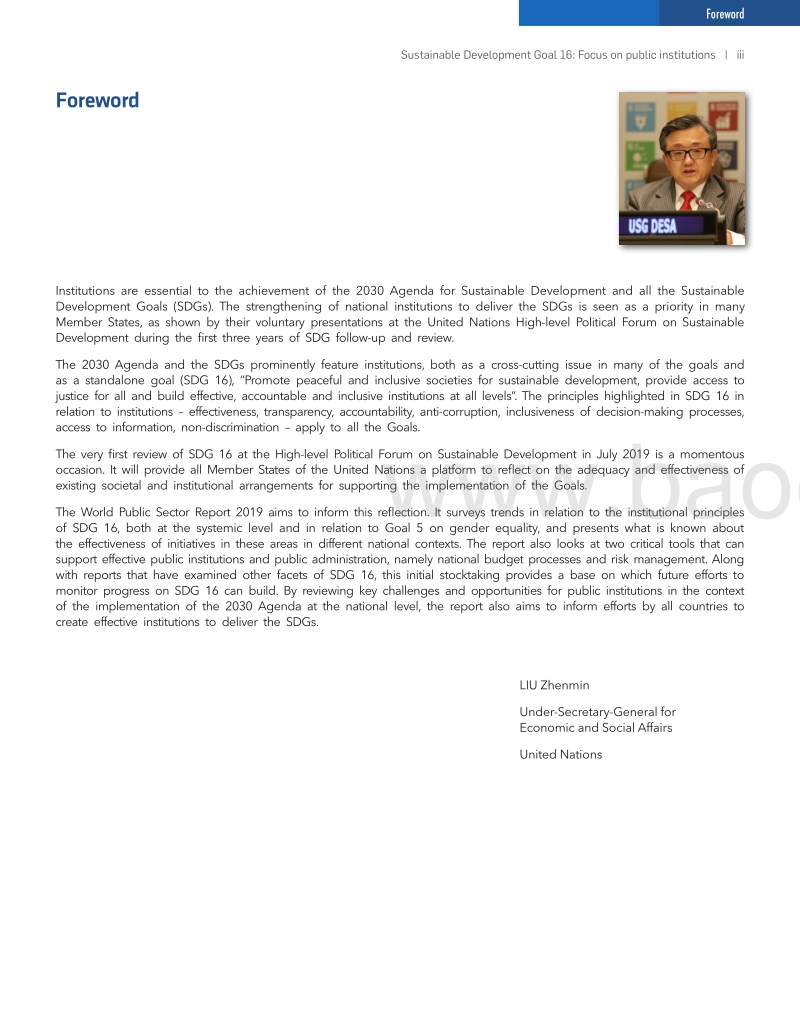 2019年世界公共部门报告（英文版）.pdf_第5页