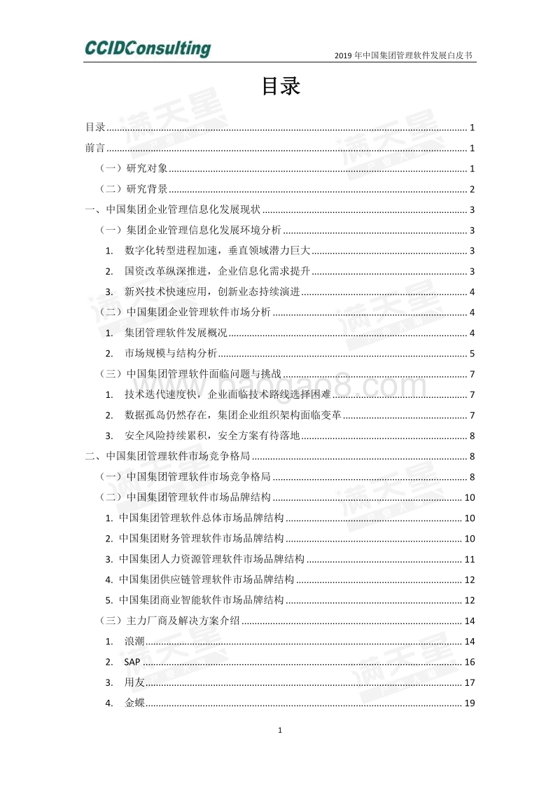 2019年中国集团管理软件发展白皮书.pdf_第2页