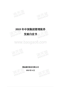 2019年中国集团管理软件发展白皮书.pdf