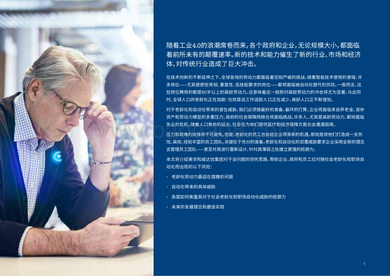 老龄化和自动化抵御力指数报告.pdf_第2页