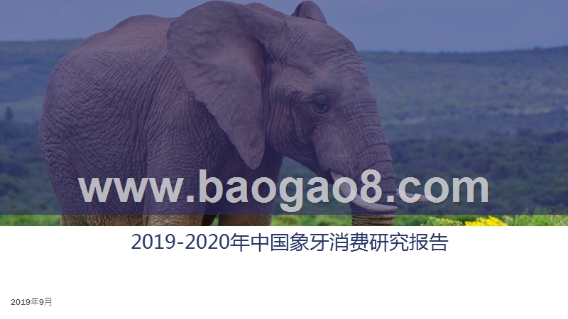 2019-2020年中国象牙消费研究报告.pptx_第1页