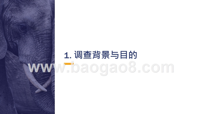 2019-2020年中国象牙消费研究报告.pptx_第3页