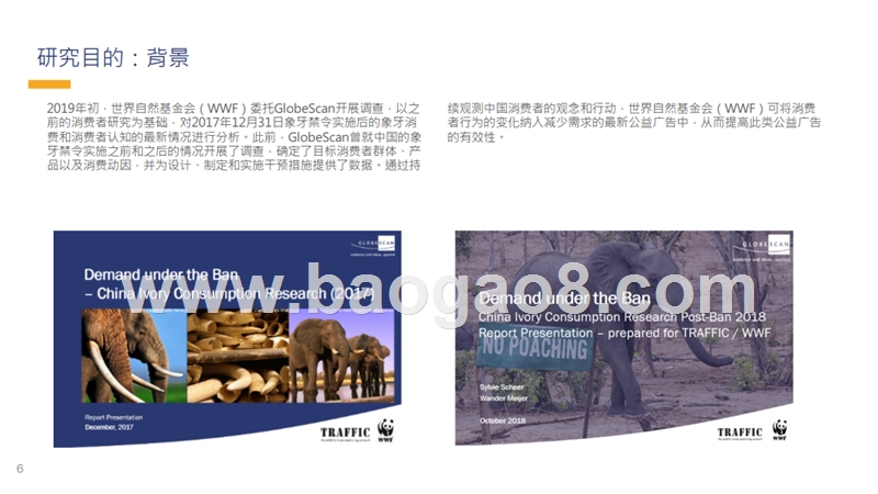 2019-2020年中国象牙消费研究报告.pptx_第5页