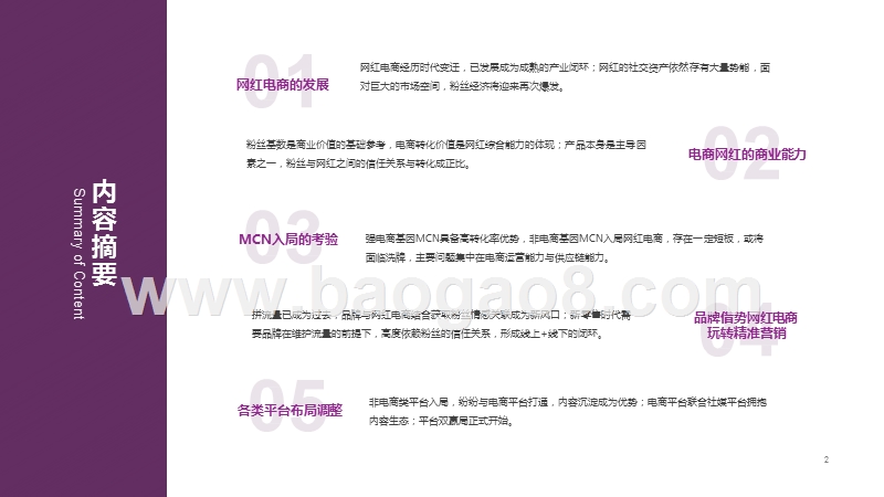 2019-2020网红电商生态发展研究报告.pptx_第3页
