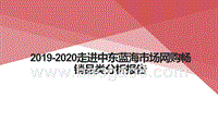 2019-2020走进中东蓝海市场网购畅销品类分析报告.pptx