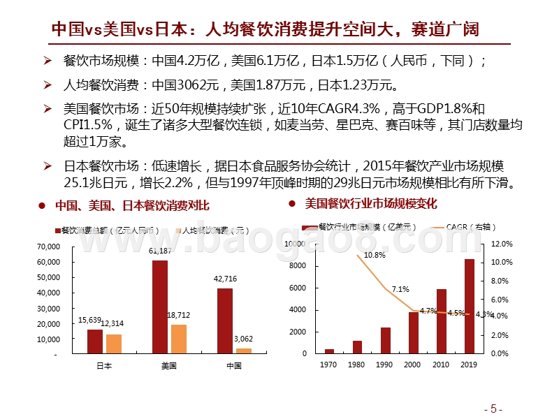 2019-2020餐饮行业龙头竞争研究报告.pptx_第5页