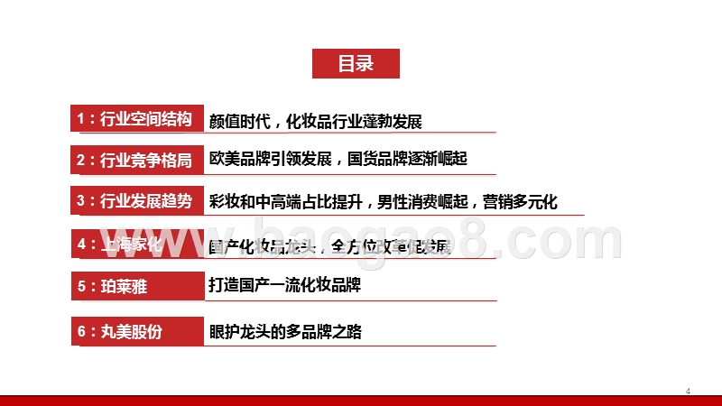 2019-2020化妆品行业研究报告.pptx_第5页