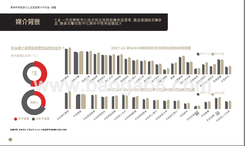 2019-2020高级珠宝腕表百度搜索行业大数据研究报告.pptx_第5页
