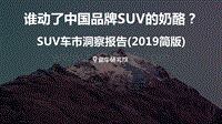 2019简版SUV车市洞察报告.pdf