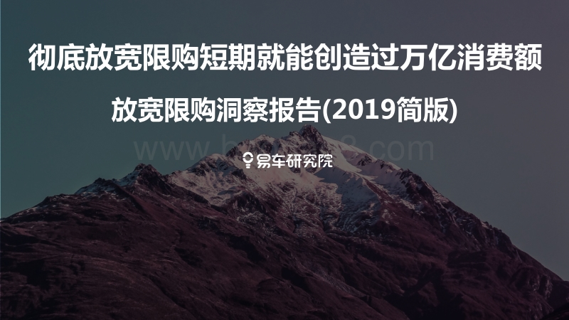 2019简版放宽限购洞察报告.pdf_第1页