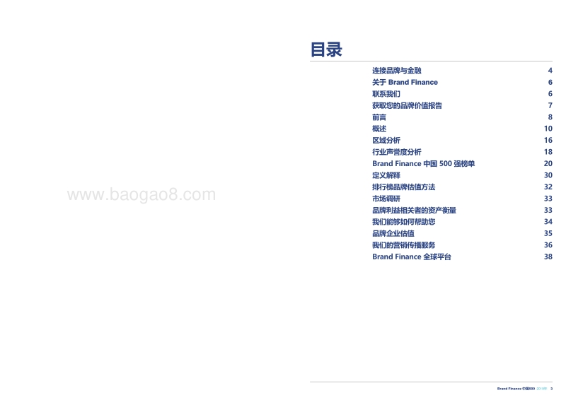 2019年度中国最有价值品牌500强报告.pdf_第2页