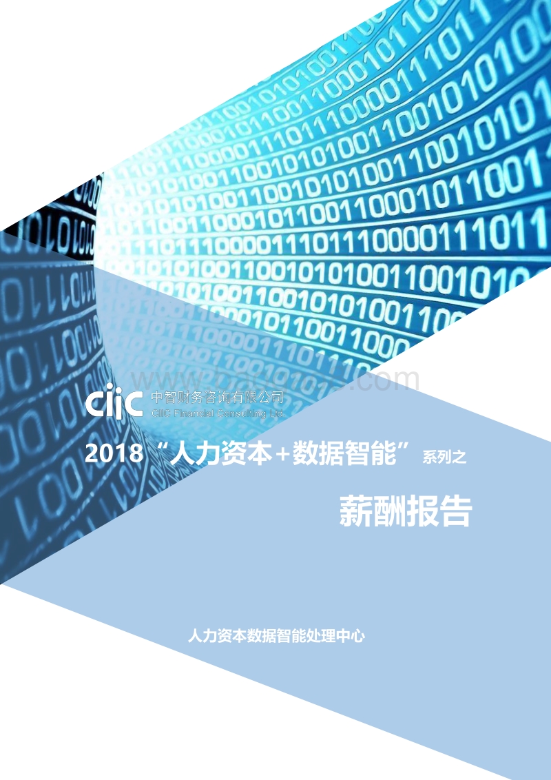 2018“人力资本+数据智能”系列之薪酬报告.pdf_第1页
