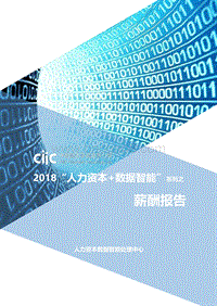2018“人力资本+数据智能”系列之薪酬报告.pdf