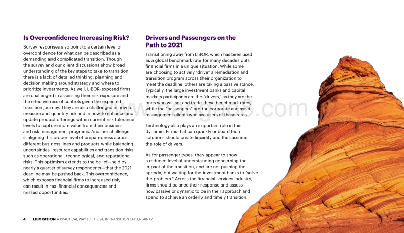 2019年伦敦同业拆借利率调查报告.pdf_第4页