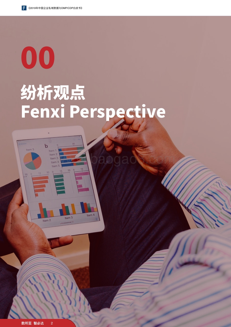 2019年中国企业私域数据与DMPCDP白皮书.pdf_第5页