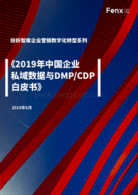 2019年中国企业私域数据与DMPCDP白皮书.pdf