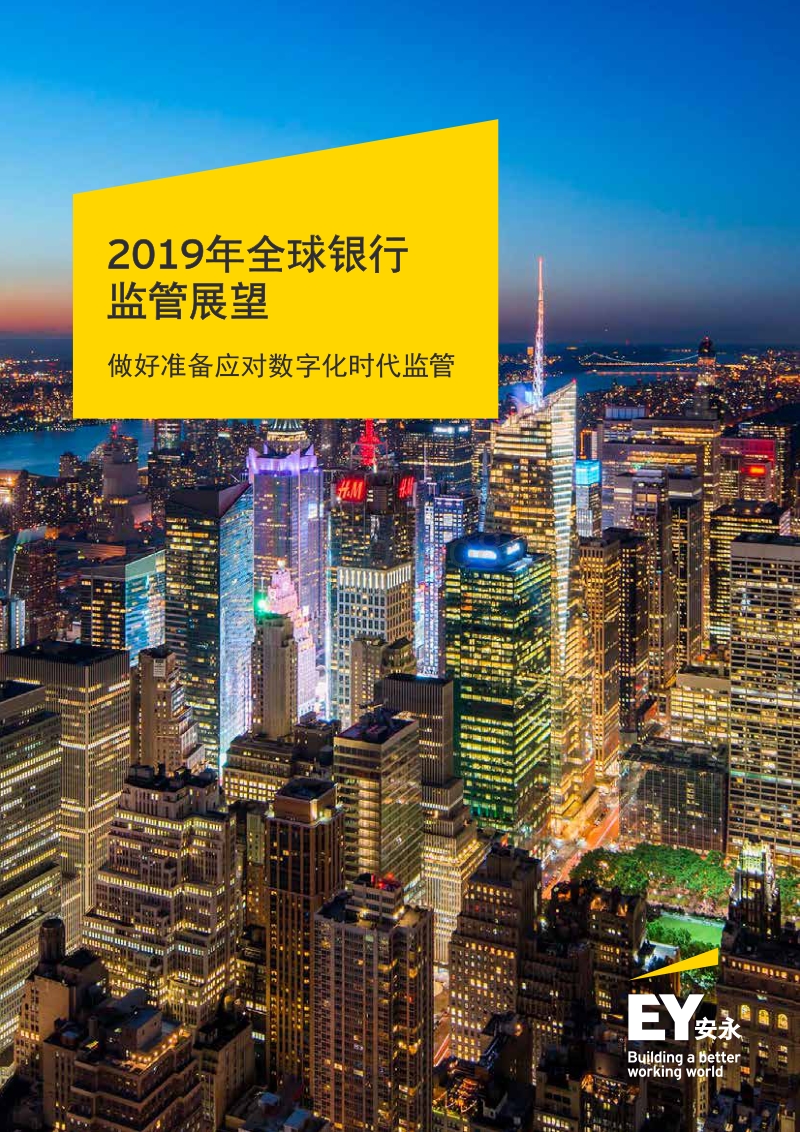 2019年全球银行监管展望.pdf_第1页