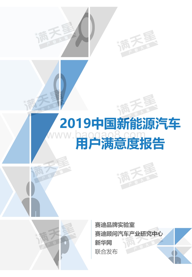 2019中国新能源汽车用户满意度报告.pdf_第1页