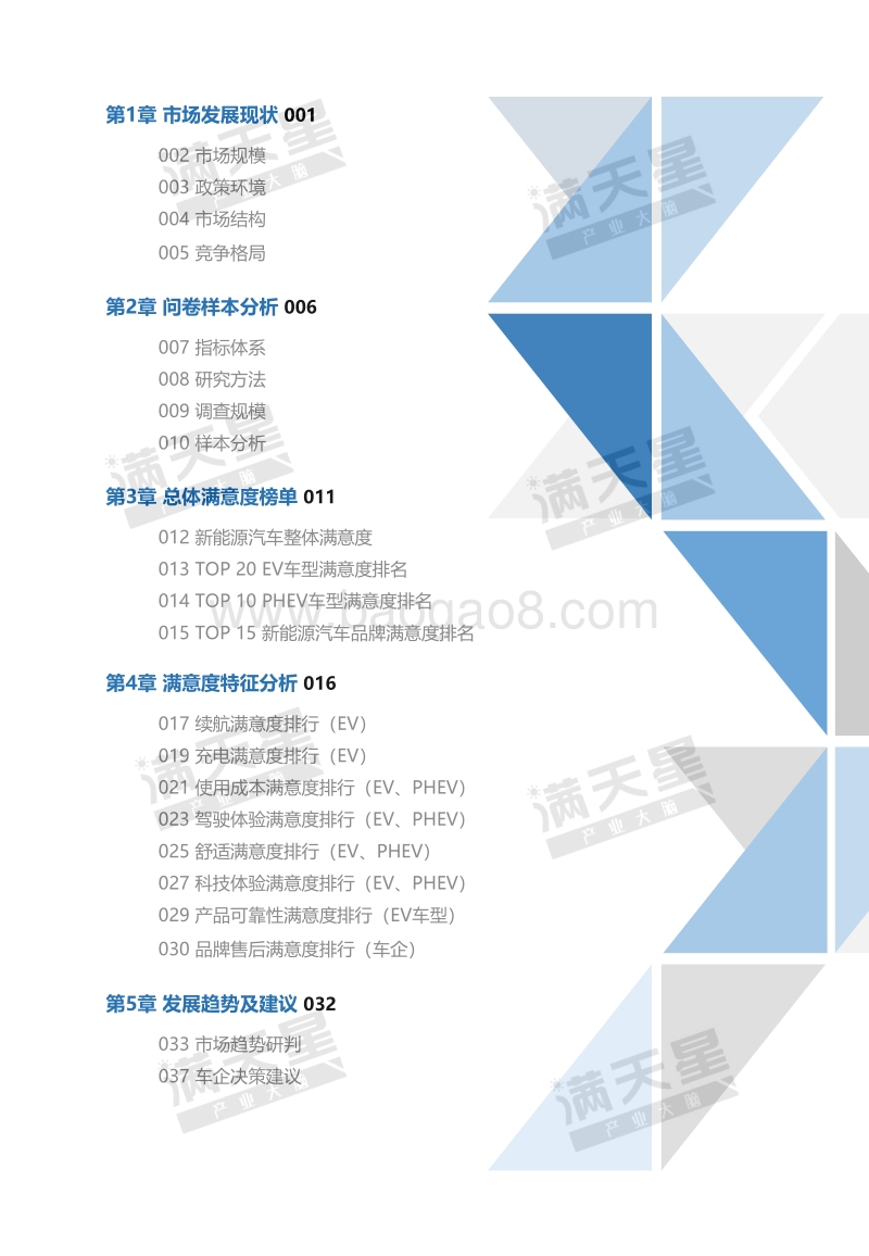 2019中国新能源汽车用户满意度报告.pdf_第3页