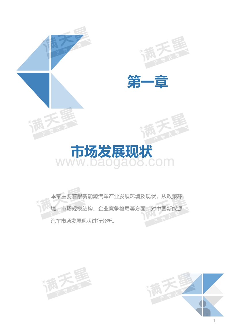 2019中国新能源汽车用户满意度报告.pdf_第5页