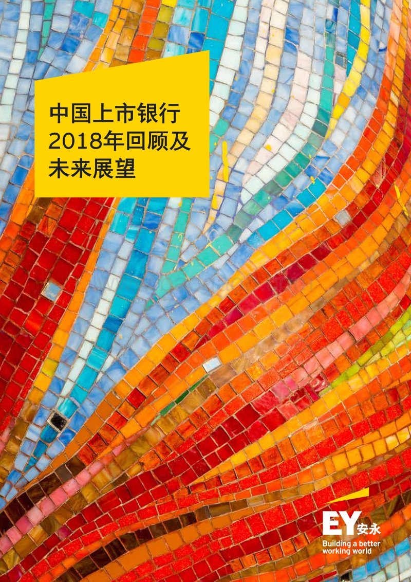 中国上市银行2018年回顾及未来展望.pdf_第1页