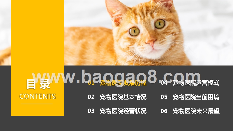 2019-2020中国宠物医院发展分析报告.pptx_第2页