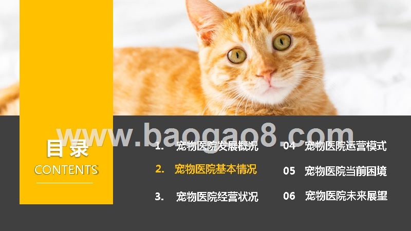 2019-2020中国宠物医院发展分析报告.pptx_第5页