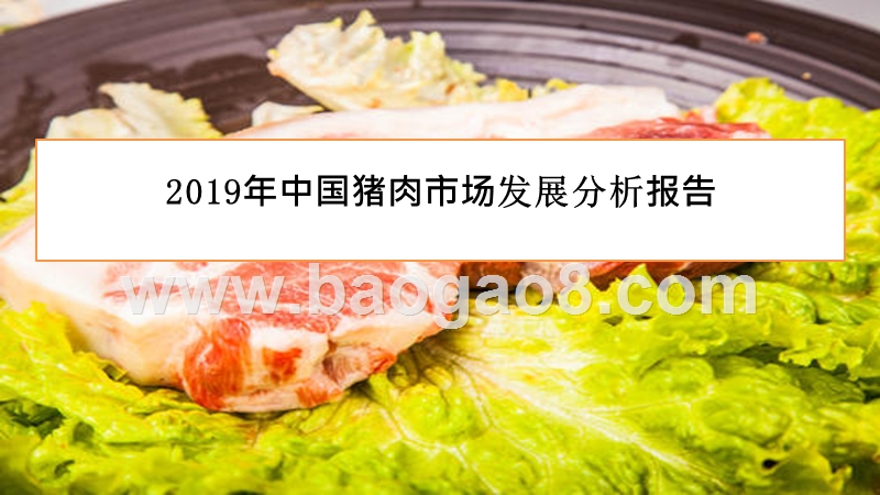 2019年中国猪肉市场发展分析报告.pptx_第1页