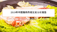 2019年中国猪肉市场发展分析报告.pptx