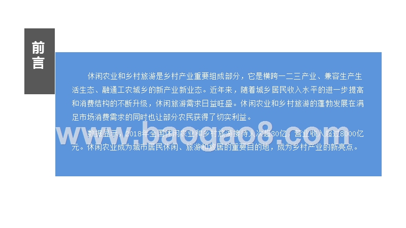 2019-2020中国乡村旅游行业发展分析报告.pptx_第2页