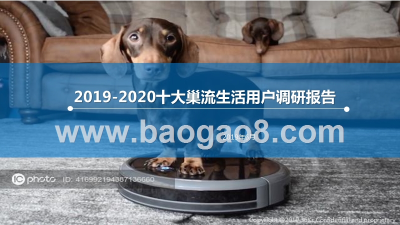 2019-2020十大巢流生活用户调研报告.pptx_第1页