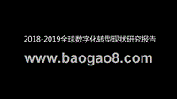 2018-2019全球数字化转型现状研究报告.pptx