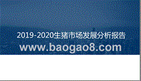 2019-2020生猪市场发展分析报告.pptx