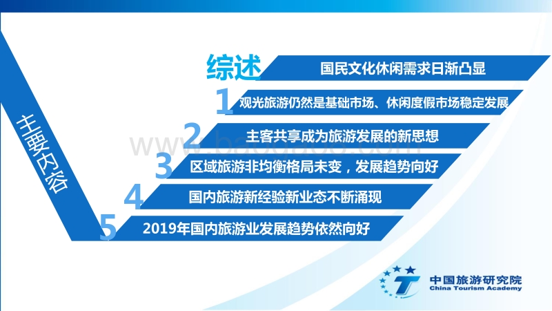 2019中国国内旅游发展年度报告.pdf_第2页