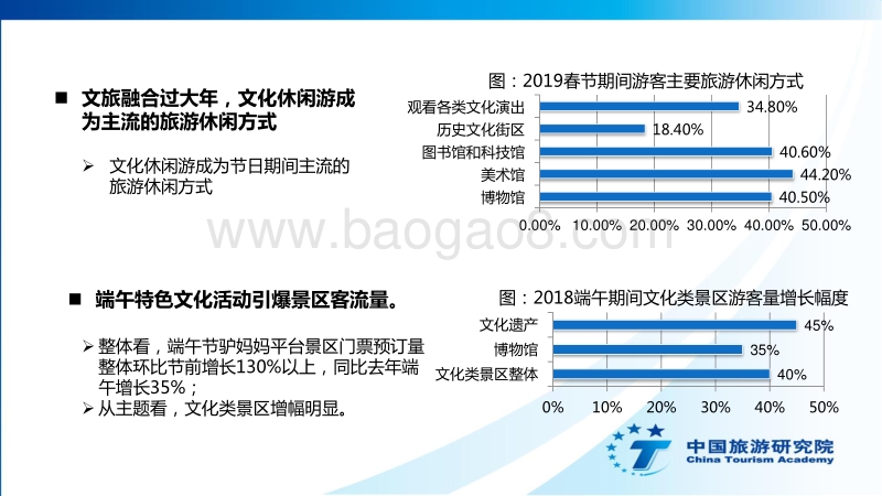 2019中国国内旅游发展年度报告.pdf_第4页