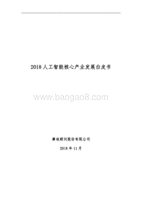 2018人工智能核心产业发展白皮书.pdf