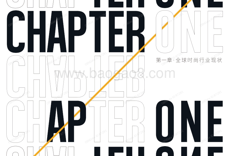 303-2019全球时尚IP白皮书.pdf_第3页