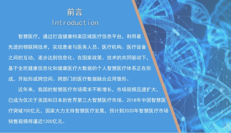 2019中国智慧医疗行业市场前景研究报告.pdf_第2页