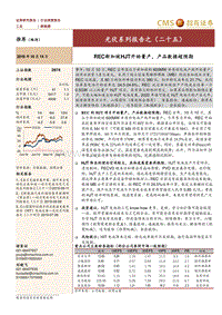 光伏系列报告之（二十五）：REC新加坡HJT开始量产，产品数据超预期.pdf