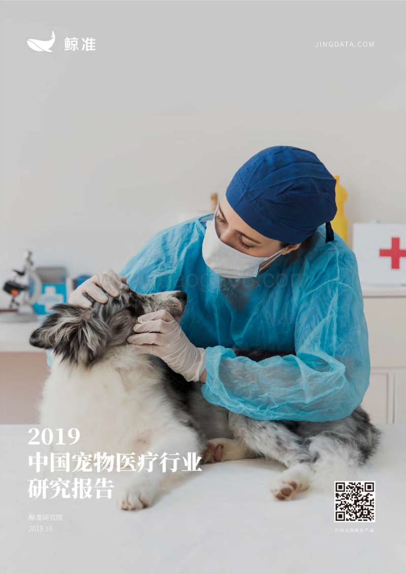 2019中国宠物医疗行业研究报告.pdf_第1页