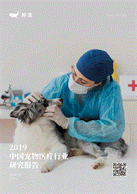 2019中国宠物医疗行业研究报告.pdf