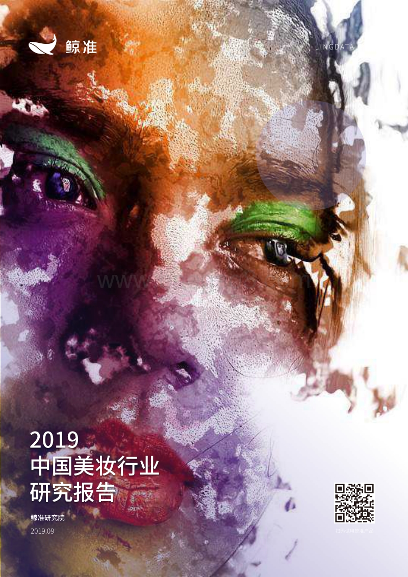 2019中国美妆行业研究报告.pdf_第1页