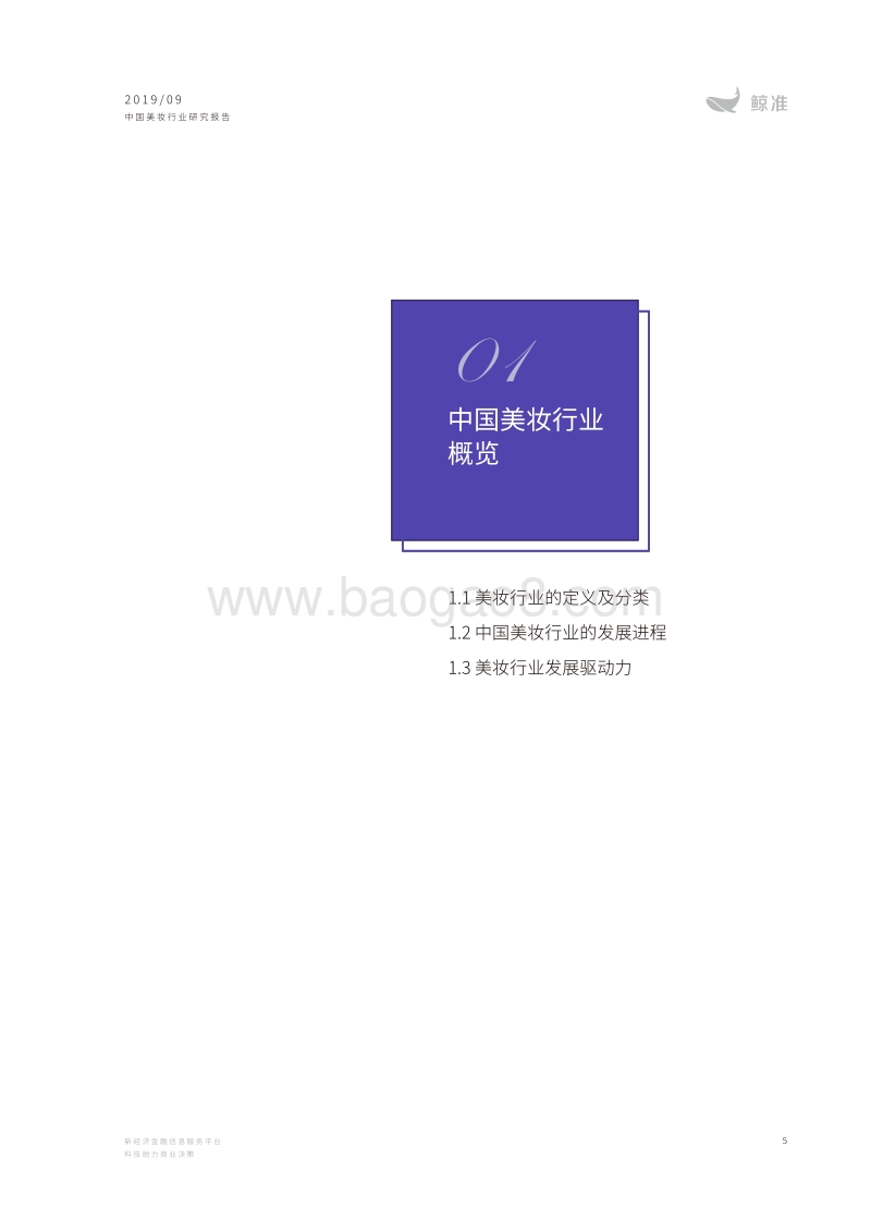 2019中国美妆行业研究报告.pdf_第5页