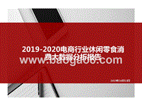 2019-2020电商行业休闲零食消费大数据分析报告.pptx