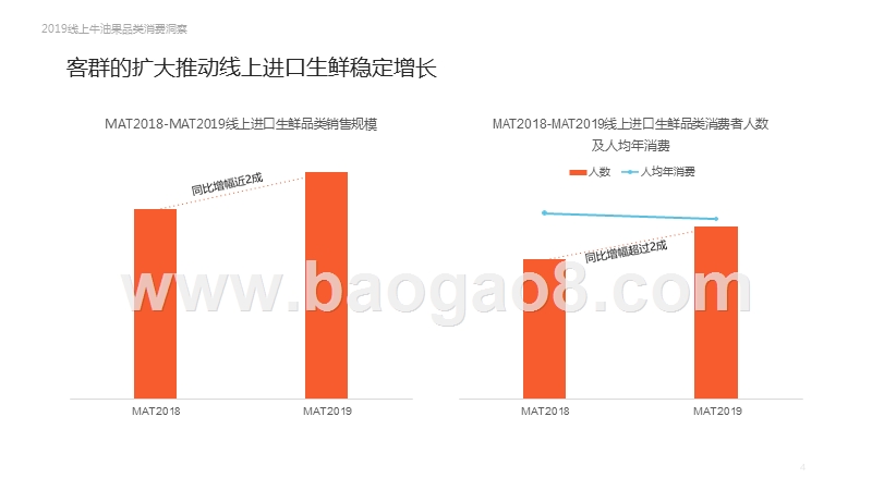 2019-2020线上牛油果品类消费洞察报告.pptx_第4页