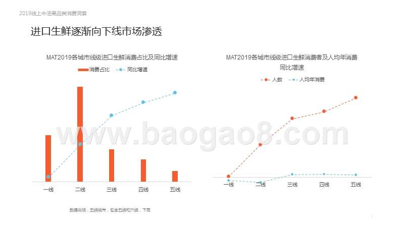 2019-2020线上牛油果品类消费洞察报告.pptx_第5页