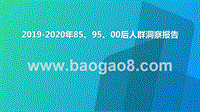 2019-2020年85、95、00后人群洞察报告.pptx