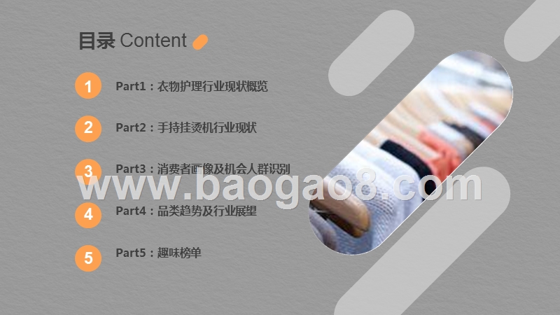 2019-2020线上衣物护理研究报告.pptx_第2页